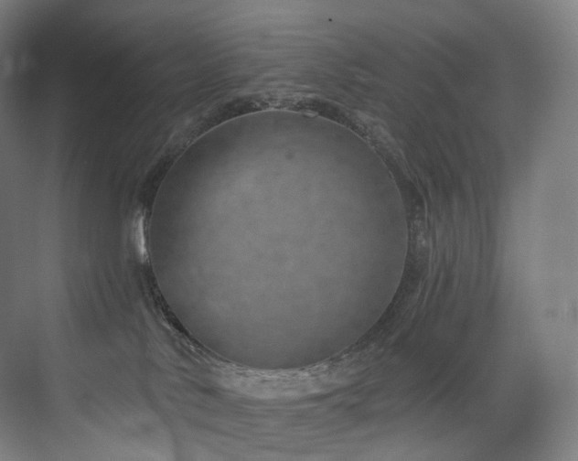 X0000074960042200609011158