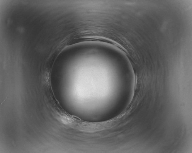 X0000074960045200609011158