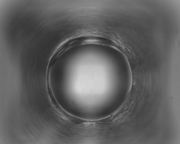 X0000074960052200609011157