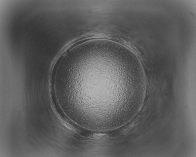X0000074960055200609011157