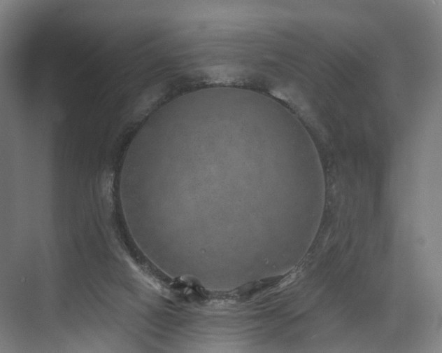 X0000074960066200609011157
