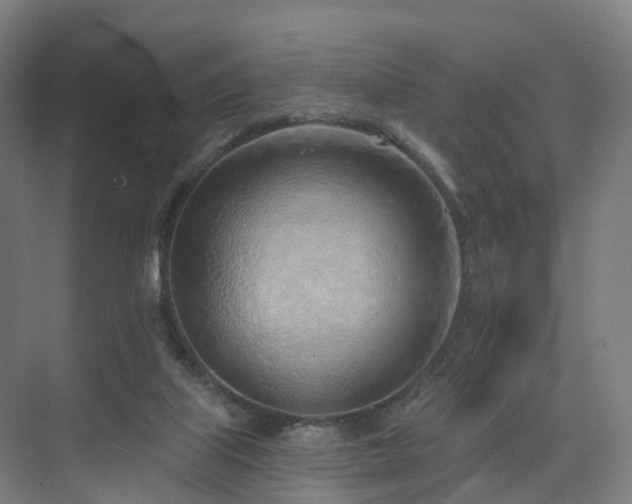X0000074960067200609011157