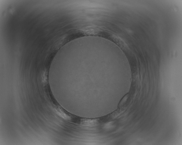 X0000074960081200609011157