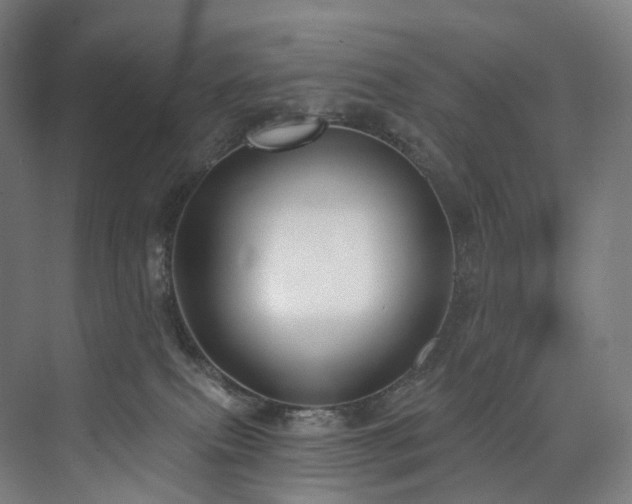 X0000074960087200609011157
