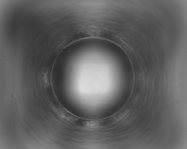 X0000074960088200609011157