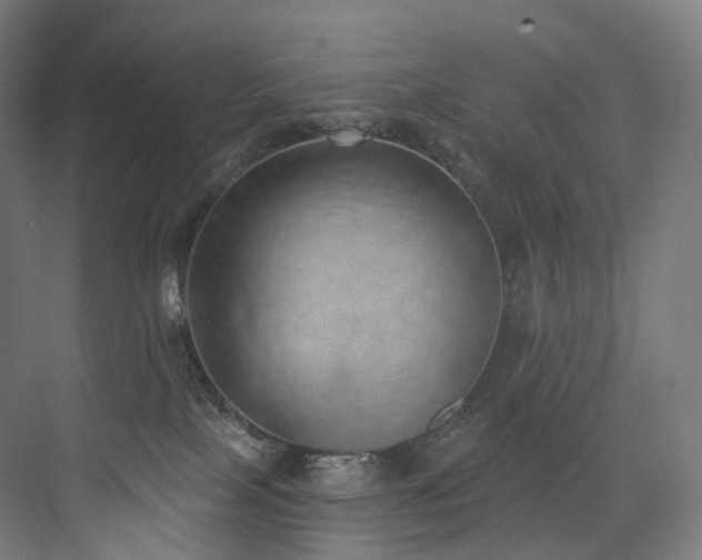 X0000074960089200609011157