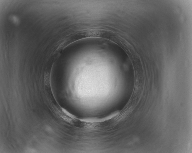 X0000074960096200609011157