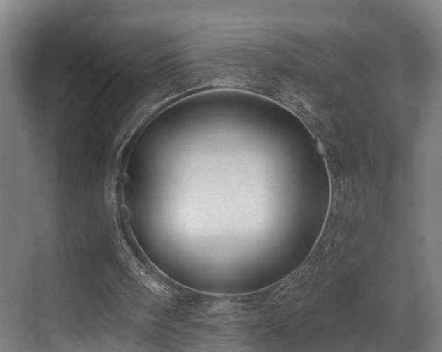 X0000074960098200609011157