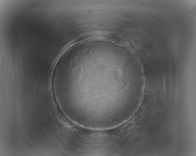 X0000074960099200609011157