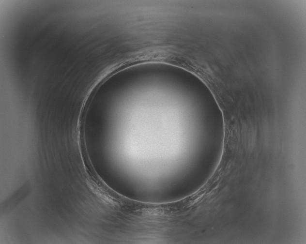 X0000074960100200609011157
