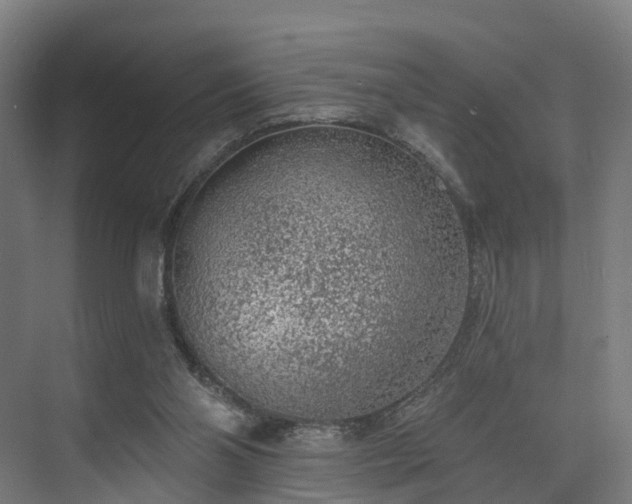 X0000074960110200609011156
