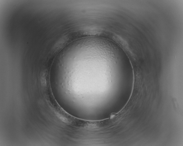 X0000074960114200609011156