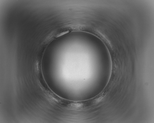 X0000074960117200609011156
