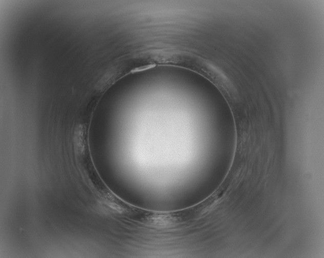 X0000074960121200609011156