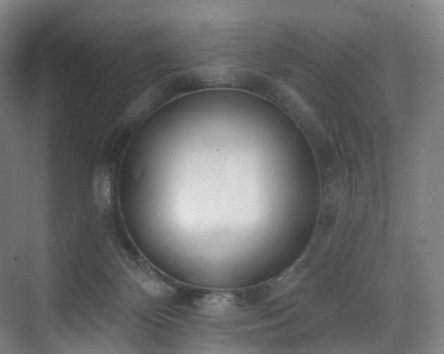 X0000074960124200609011156