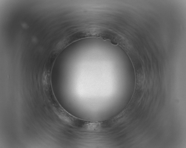 X0000074960126200609011156