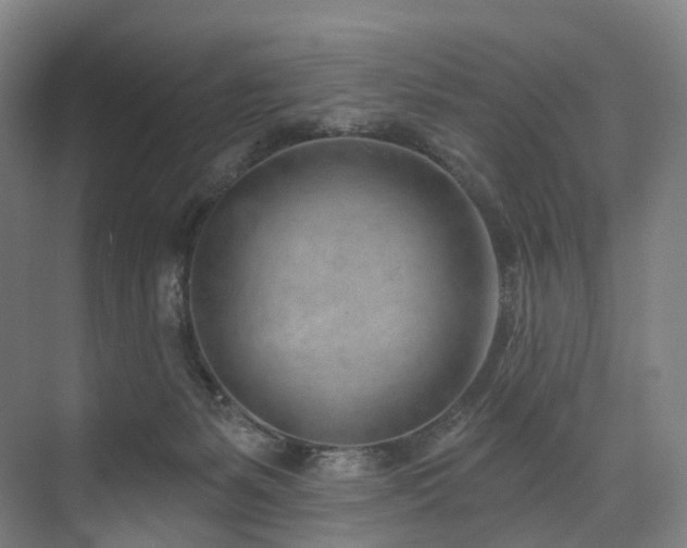 X0000074960127200609011156