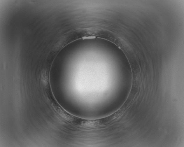 X0000074960129200609011156