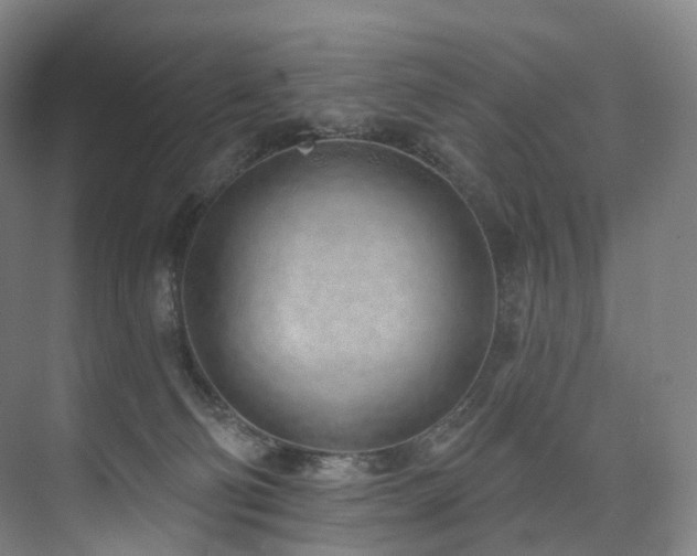 X0000074960130200609011156