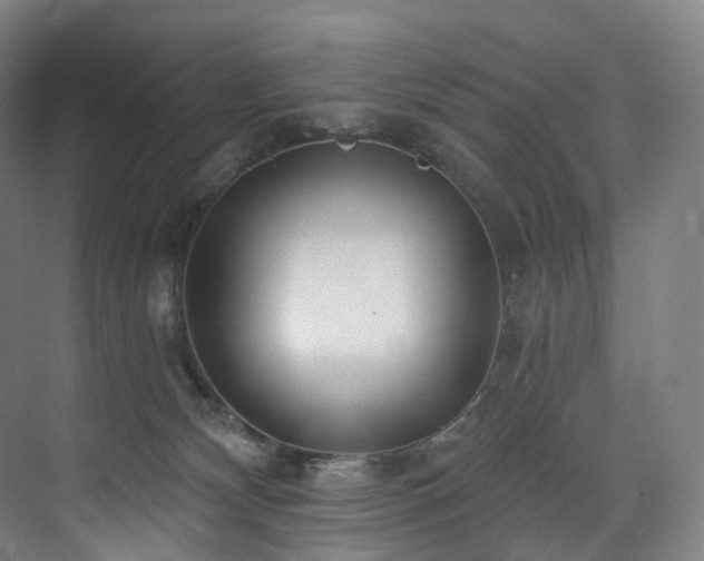 X0000074960132200609011156