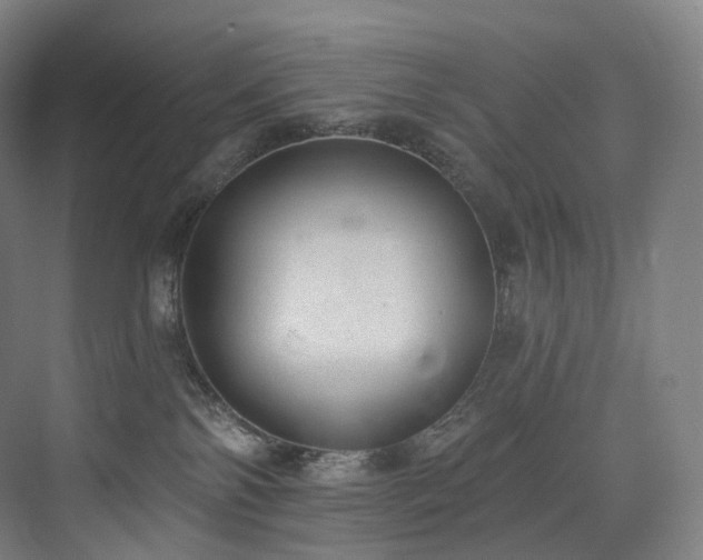 X0000074960138200609011156
