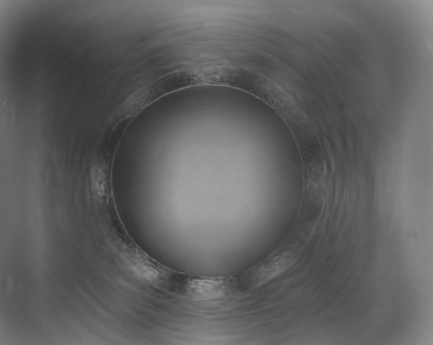 X0000074960139200609011156