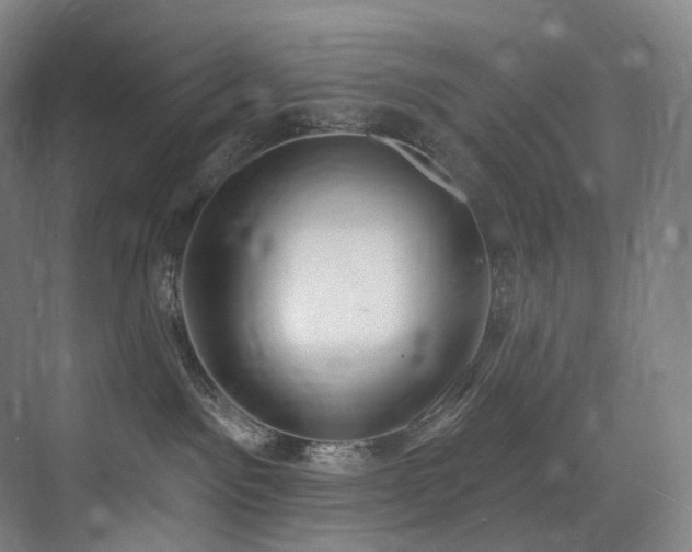 X0000074960141200609011156