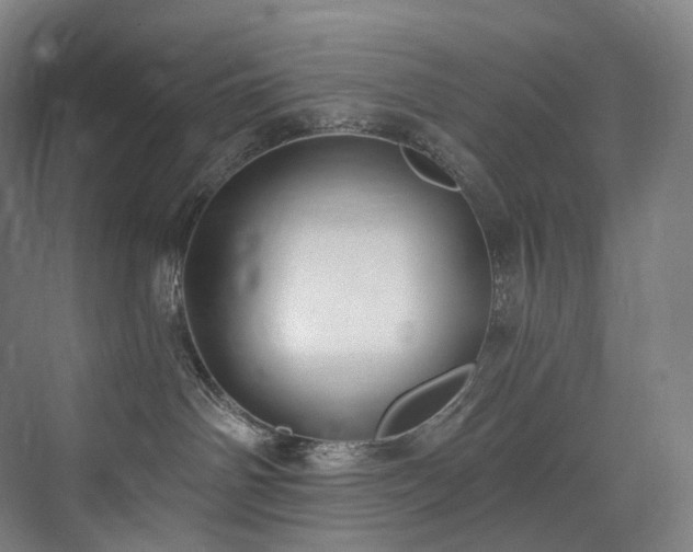 X0000074960142200609011156