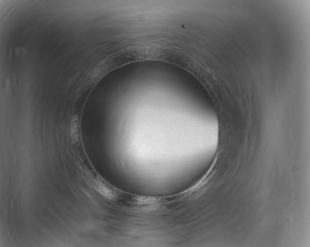 X0000074960144200609011156