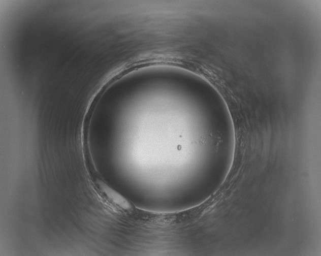 X0000074960148200609011155