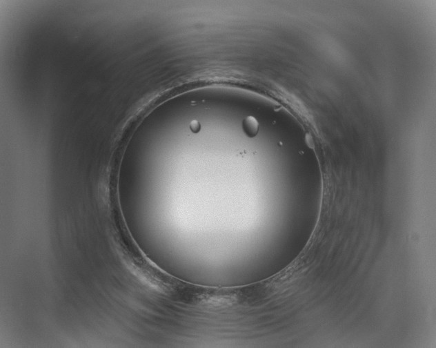 X0000074960155200609011155