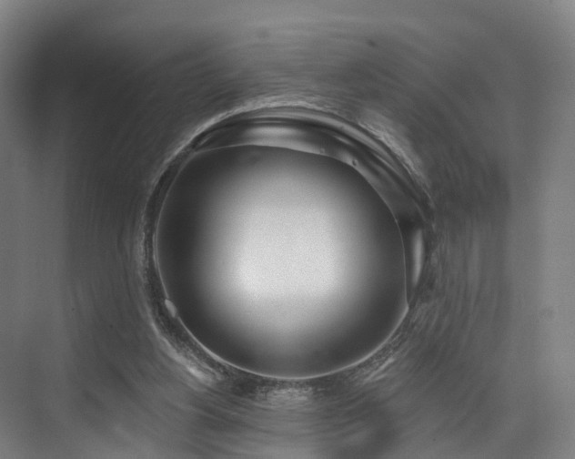 X0000074960156200609011155
