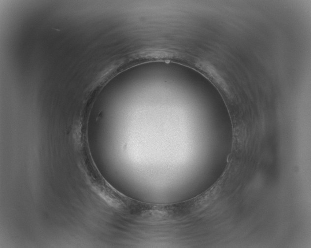 X0000074960159200609011155