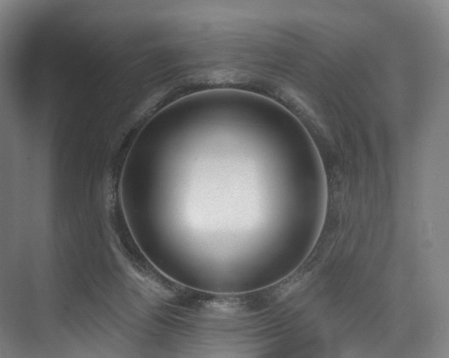 X0000074960164200609011155