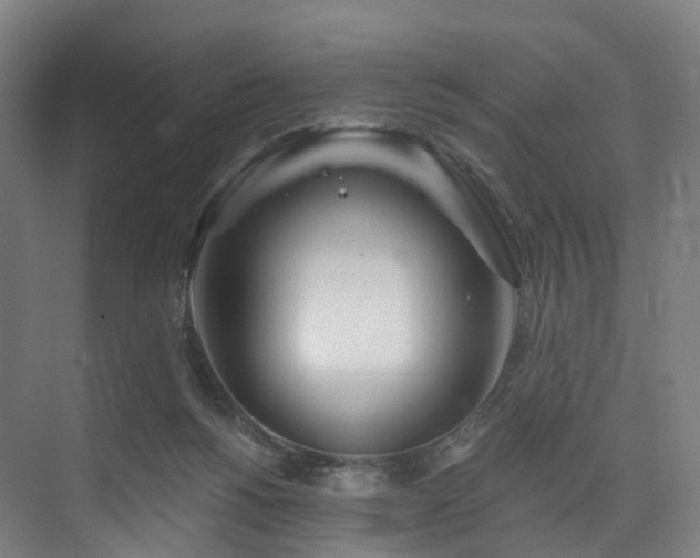 X0000074960168200609011155