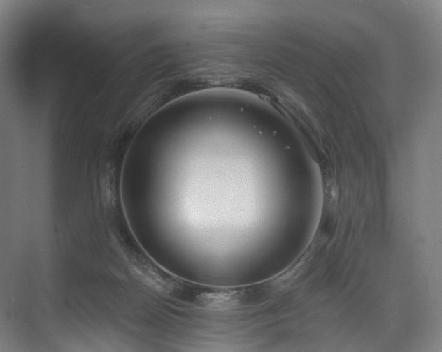 X0000074960170200609011155