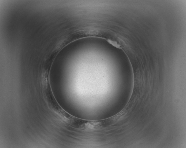 X0000074960172200609011155