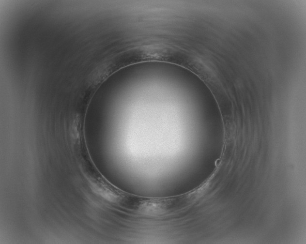 X0000074960174200609011156