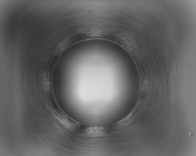 X0000074960179200609011156