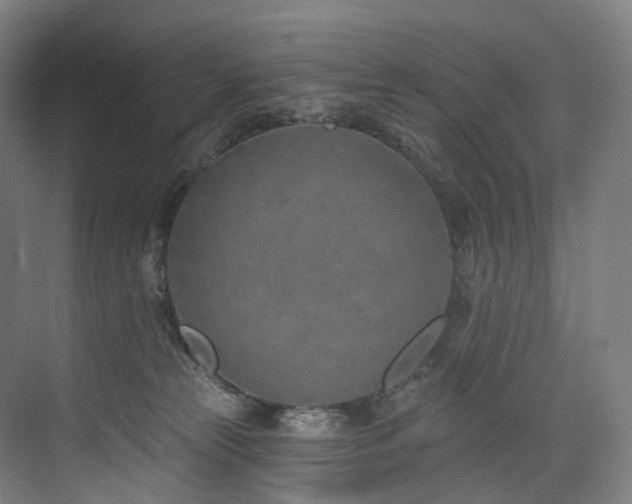 X0000074960181200609011156