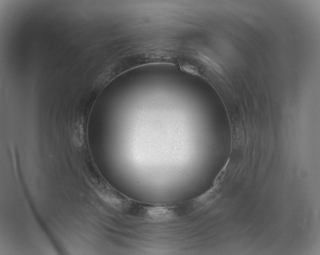 X0000074960183200609011156