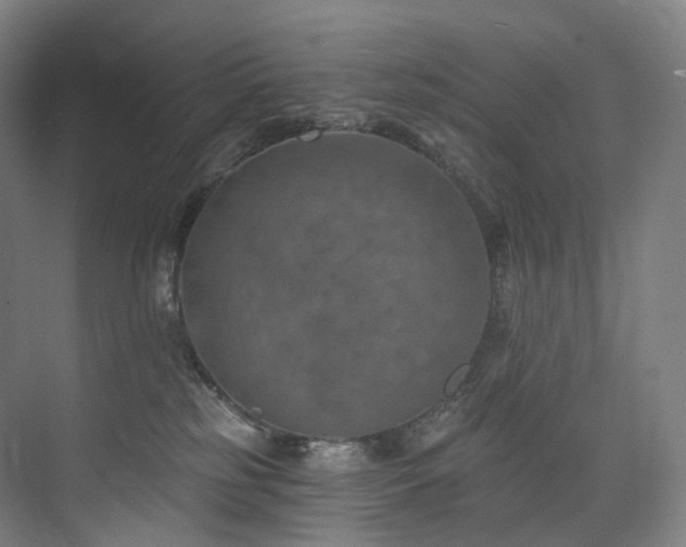 X0000074960185200609011156
