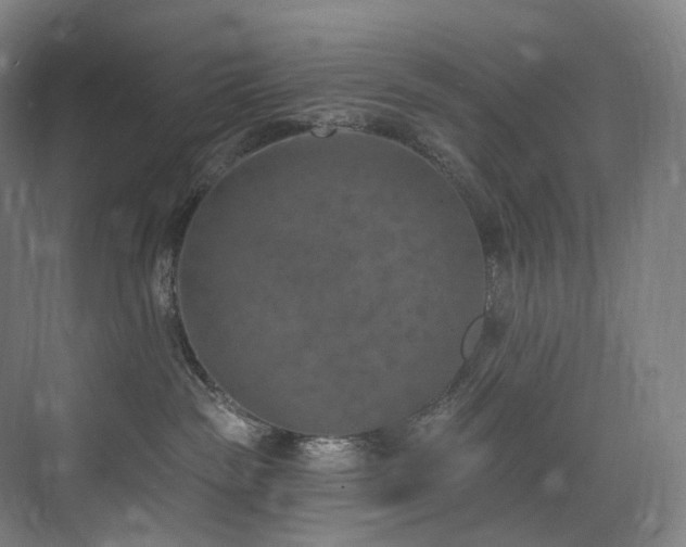 X0000074960189200609011156