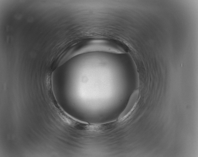 X0000074960192200609011156