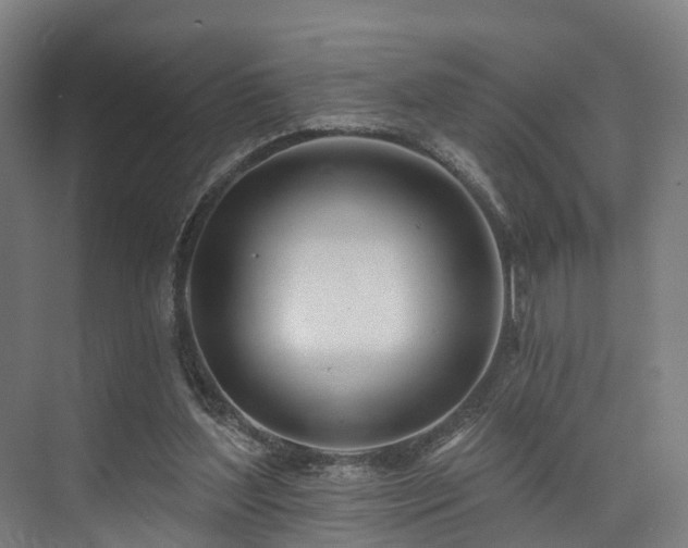 X0000074960204200609011155