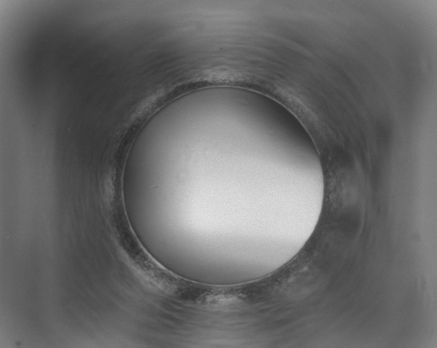 X0000074960208200609011155