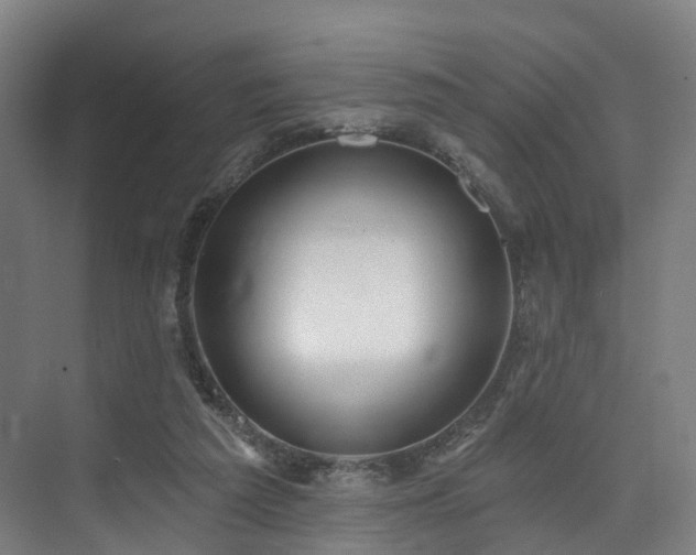 X0000074960209200609011155