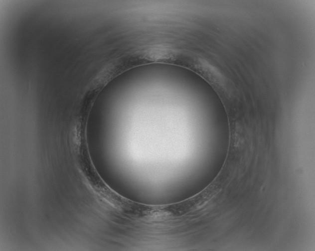 X0000074960210200609011155