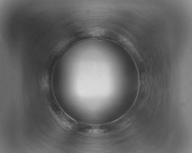X0000074960212200609011155
