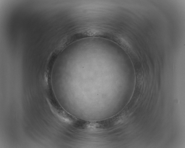 X0000074960214200609011155
